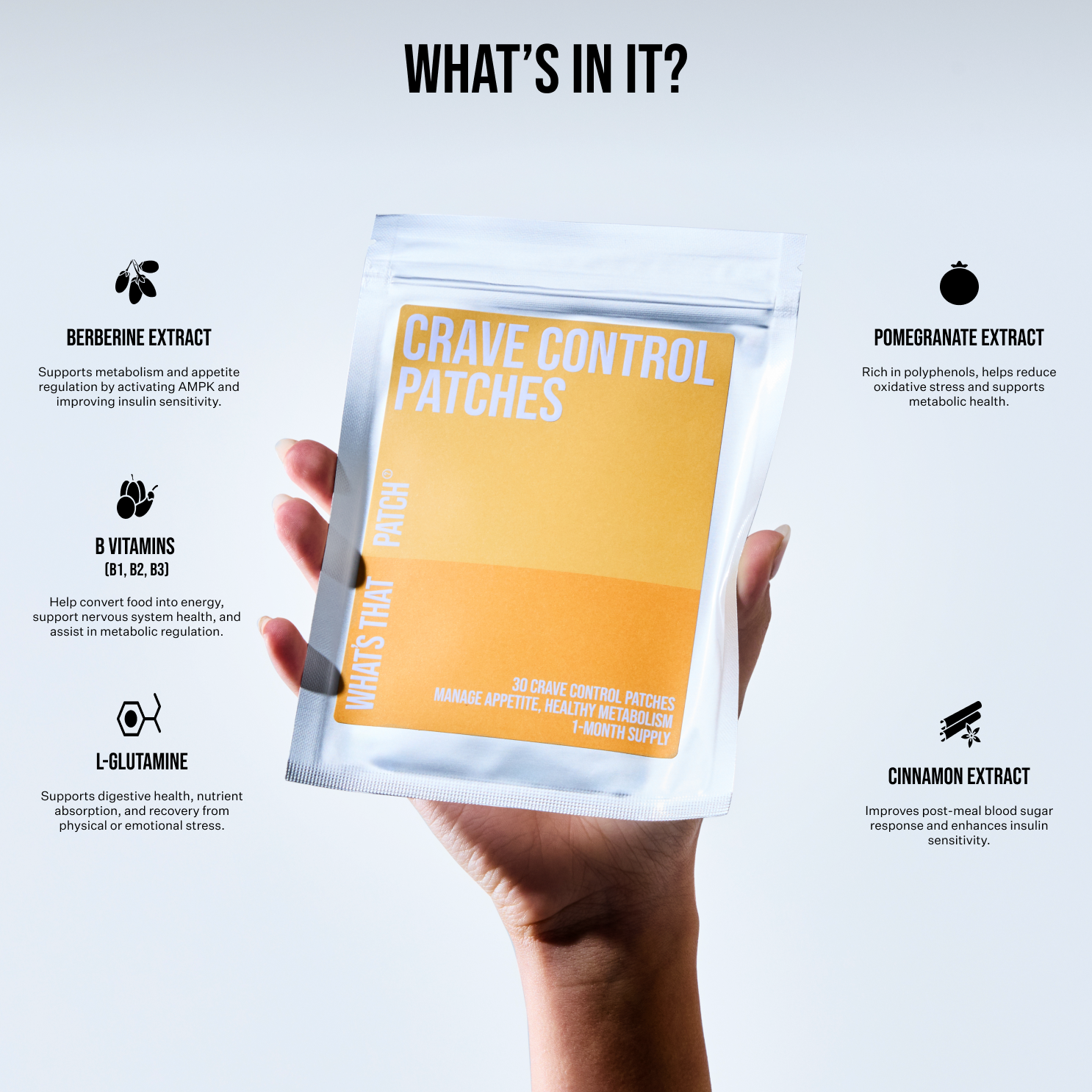 CRAVE CONTROL PATCHES
